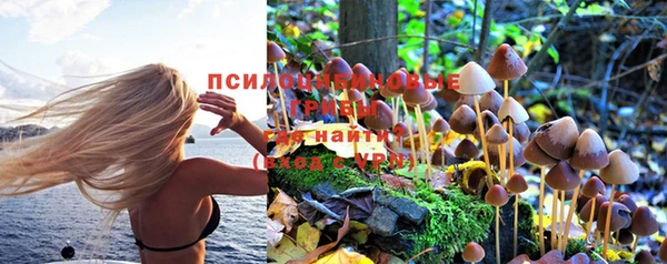 мдпв Беломорск