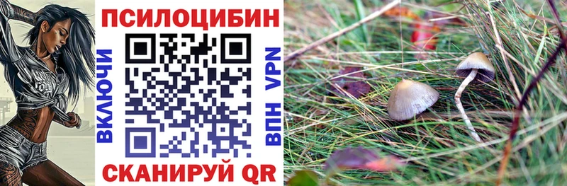 Галлюциногенные грибы Cubensis  Белый 